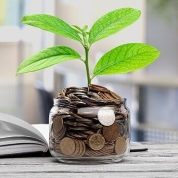 SME Growth: Investing in Success