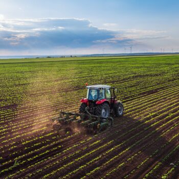 The importance of succession planning for the farming community