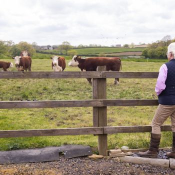 Enjoying the Countryside
